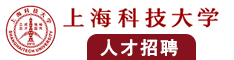 大屌肏大屄视频